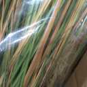 Jexine 2 Pcs Tall Artificial Grass Plant 4 ft Potted Artificial Greenery Floor Plants Faux Pampas Grass Tall in Pot for Housewarming Gift House Garden Bathroom Lobby Outdoor Decoration