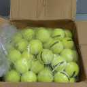 GAMMA Sports Pressureless Tennis Balls Box - Ideal for Practice, Teaching, and Training with High-Visbility Felt - Indoor and Outdoor Court Play -  75 Pack