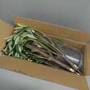 Nearly Natural 6-FT Artificial Fruiting Olive Tree with 280 Warm White LED Lights, Faux Olive Tree Indoor Home Dcor, Pre-lit with Lifelike Fruits and Sturdy Base Stand