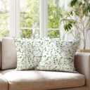 Botanical Throw Pillow Covers 18x18 Inches Set of 2 | Green Leaf Vine Minimalist Cushion Cases | Farmhouse Pillowcases for Living Room Couch Sofa Bed | Spring Summer Home Decor
