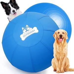 Herding Ball for Dogs 18 Inch - Dual-Layer Heavy Duty Herding Ball for Australian Shepherds, Border Collies & Corgis | Outdoor Herding Toy for Small/ Medium Dogs - Backyard Training and Play