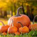 2 x Fall Season Mouse Pad Mat Mousepad for Desk Computer Laptop PC Gaming Home or Office Gift (Pumpkins MP85)