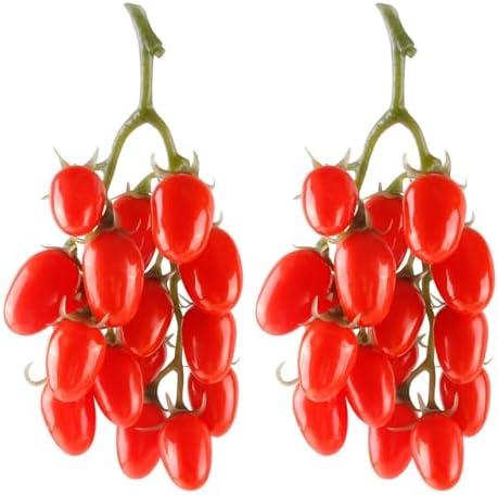 Artificial Tomato String, 2 Pack Simulation Artificial Lifelike Fake Fruits Vegetable Photography Props Home Kitchen Harvest Decoration (Red Tomato, 2pcs)