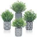4 Pack Small Fake Plants, Fake Grass Plant, Artificial Boxwood & Rosemary, Lavender with Geometric Pattern Cement Pots, Small Potted Faux Greenery for Home Decor, Office, Indoor&Outdoor Decor
