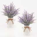 FJAKA 2Pcs Artificial Lavender Flowers in Pots with Vase, Fake Faux Lavender Flowers Decor, for Farmhouse Table Centerpiece Windowsill Country Indoor Mantle Decor