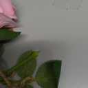 8 Set Rose Flower Garland, Artificial Flower Decoration, Artificial Floral Hanging Rose with Bows Garland Ceiling Decor with Hooks Jute Rope Fishing Line for Wedding, Proposal (Pink)