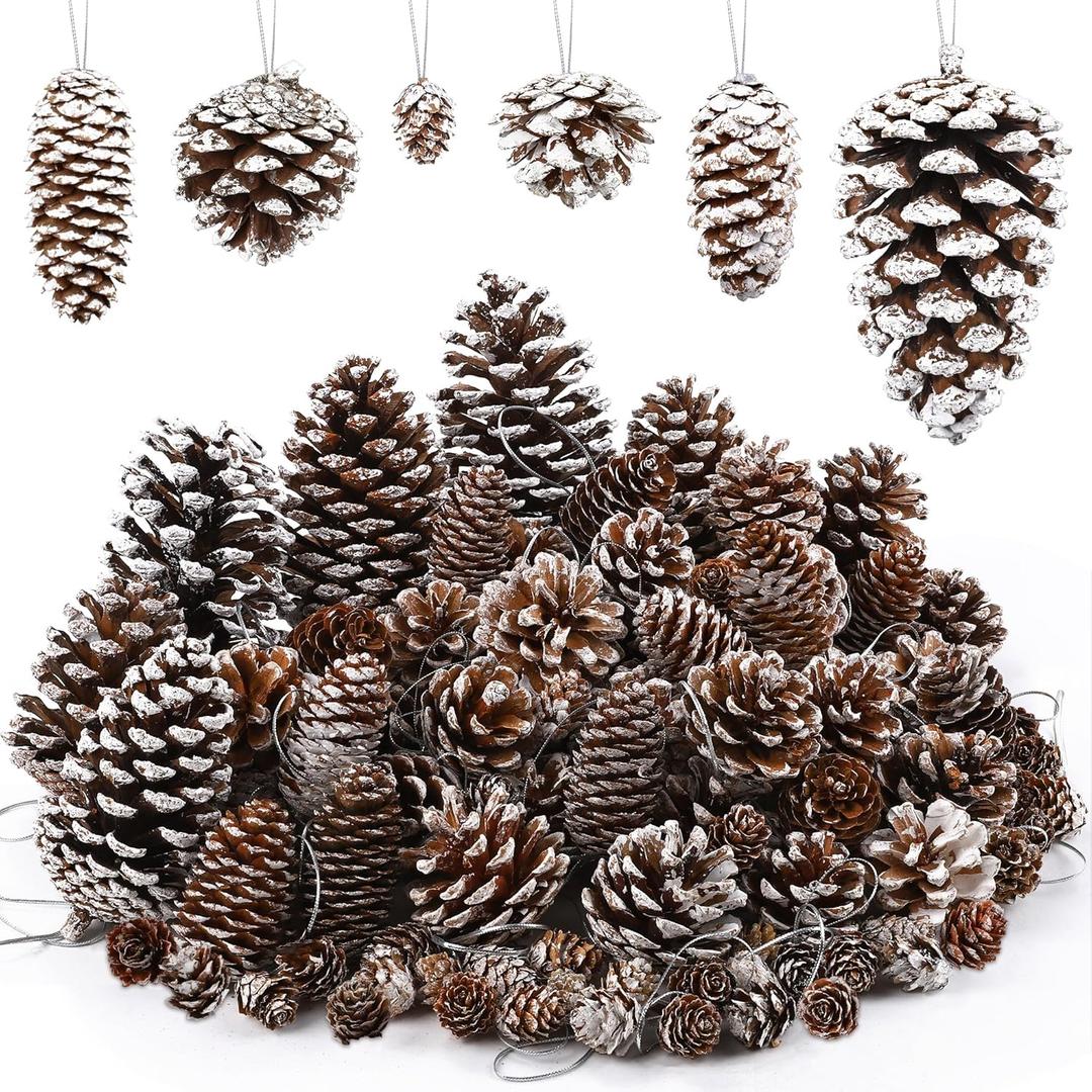 Fovths 66 Pieces Snow White Christmas Pine Cones Ornaments with String Natural Rustic Pine Cones Bulk Assorted Sizes Xmas Tree Hanging Pinecone Decoration for Christmas Tree Crafts DIY Gift Party