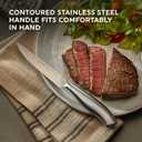 Chicago Cutlery Insignia Steel 4-Piece Steak Knives, 4.5" Stainless Steel Blades for Effortless Cutting, For Home Kitchen and Professional Use