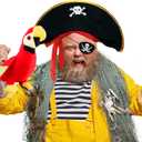 M&G House Halloween Pirate Hats Caribbean Black Pirate Cap Pirate Accessories Funny Party Hat Fancy Dress Adult Kid (Black Bonnet Parrot)