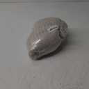 PAVILIA Super Soft Fleece Throw Blanket Twin Taupe Tan Camel, Fuzzy Plush Flannel Throw, Warm Cozy Ribbed Microfiber Blanket for Sofa Couch Bed, Lightweight Striped Blanket, Taupe, 60x80