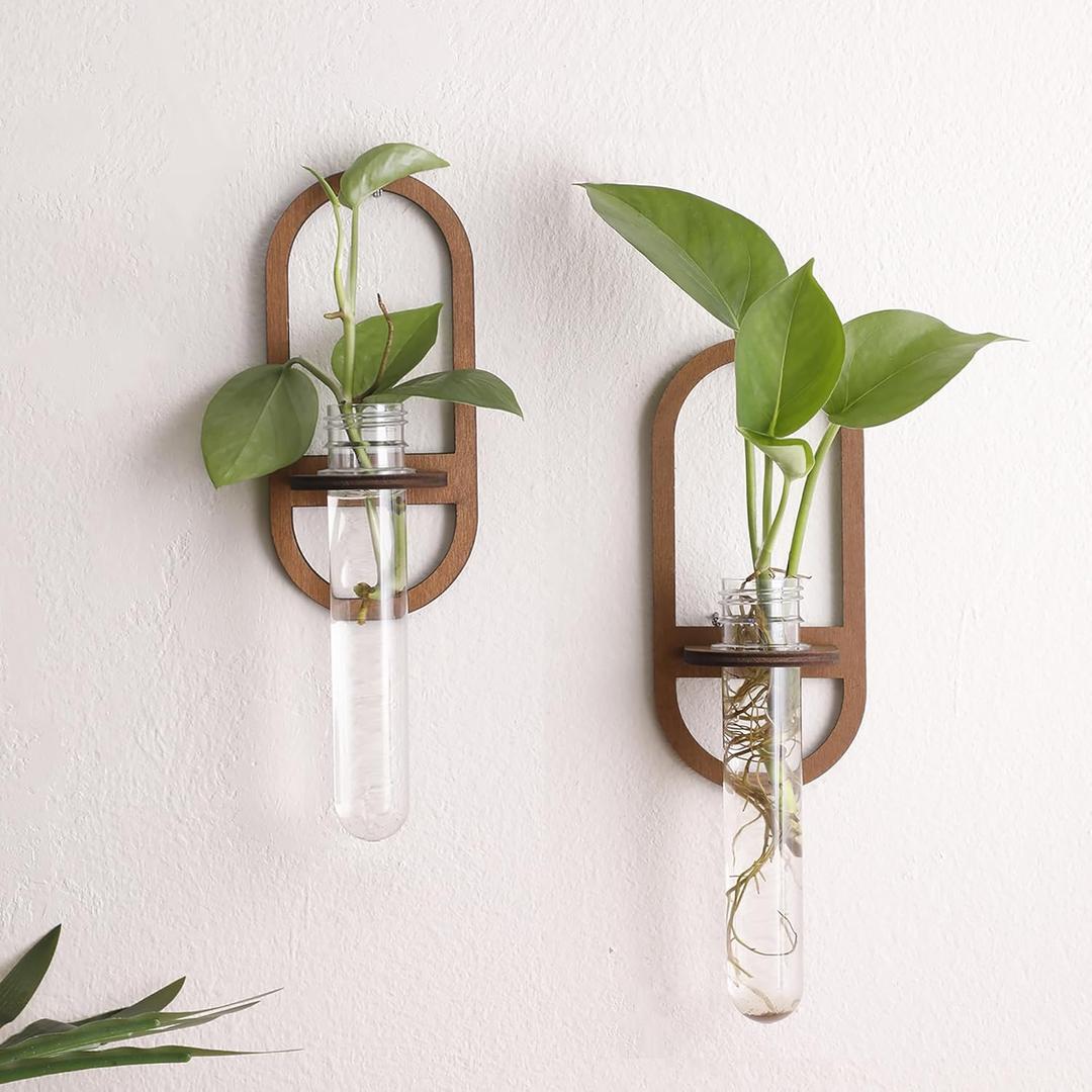 2 Pack Plant Propagation Station Wall Hanging Wooden Shelf Plant Terrarium for Hydroponics Home Office Decor Test Tube Propagate Air Plant Cutting Holder (Minimalist Oval Wood)
