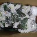 MJFloria Artificial Fake Flowers Plants Hanging Baskets for Outdoor Outside Decor, Faux Silk Hanging White Morning Glory Trailing Vines UV Resistant for Porch Patio Home Decoration