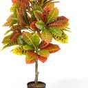 Fencer Wire 36 Inch Artificial Topiary Croton Tree, UV Resistant Artificial Outdoor Plants, Faux Bushes and Shrub, Fake Trees in Pot with Dried Moss, Artificial Plants for Front Porch, Indoor, Outdoor