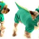 NACOCO Dog Dinosaur Design Costume Green Pet Clothes for Medium & Large Dog (Green, S) (Small (Pack of 1))