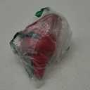 TEC Products FlexAll Long Flexible Funnel for Automotive Use - Durable Nitrile Rubber - Ideal for Car Oil Change, Transmission Funnel Fluid, Diesel, Fuel, Gas - Made in USA - Red (16 x 5 Inches) (Large)