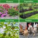 8 X 100 Ft Garden Netting, 5/8in Mesh Heavy Duty Bird Netting for Vegetable, Fruit Trees, Blueberry Bush Protection, Reusable Poultry Netting Against Birds, Deer, Rabbit and Cat, Chicken Coop Net