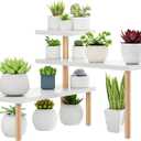 Small Plant Stand Shelf ,3 Tiers Wood Long Desktop Flower Pot Holder Racks for Window Sill,Table ,Countertop Organizer Display Stand Shelves (Angle Adjustable,White)