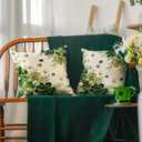 2 x AVOIN colorlife St Patricks Day Shamrock Phnom Penh Throw Pillow Covers, 18 x 18 Inch Clover White Floral Cushion Case Decoration for Sofa Couch Set of 2