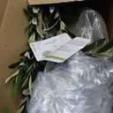 Artificial Olive Tree 7FT with Lifelike Trunk & Realistic Olives