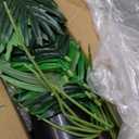 4ft 2pcs Large Artificial Plants Fake Palm Tree Tropical Palm Leaves Faux Palm Plants Tall Tree Indoor Real Touch Plastic Monstera Leaves for Home Garden Outdoor Office Decor (4ft/125cm-2pcs)