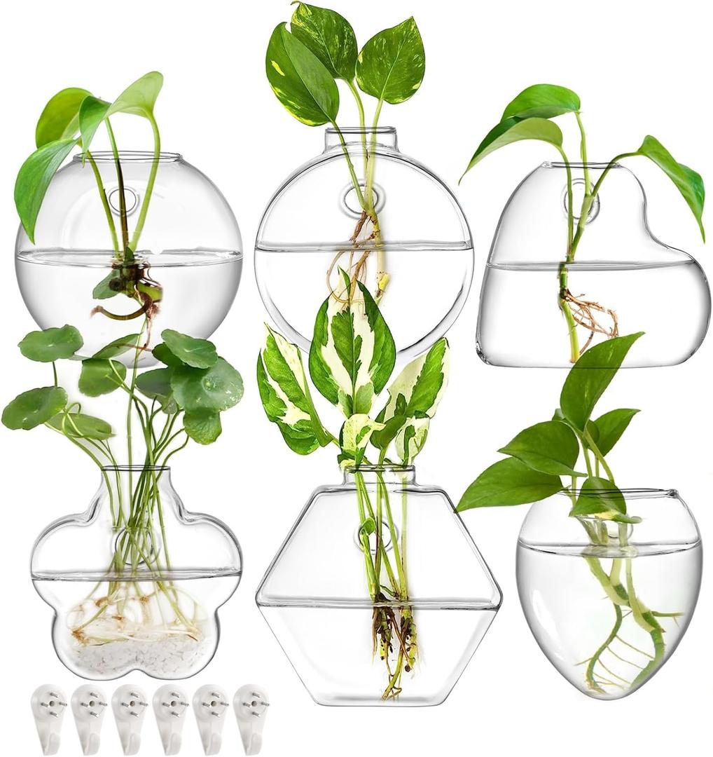 yarlung Set of 6 Wall Hanging Planter Terrarium, Clear Glass Plant Vase Wall Mount for Propagating Hydroponics Plant, Indoor Air Plants, Stylish 6 Shapes (Plants Not Included)