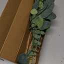 Eucalyptus Stems Bulk 30 Pcs, 4 Kinds Mixed Artificial Silver Dollar Eucalyptus Leaves Bundle Faux Greenery Branches for Wedding Vase Bouquet Floral Arrangement Centerpiece Home Decor