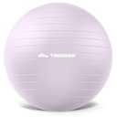 Trideer Exercise Ball Yoga Ball, Office Seating & Balance Ball Chair, Stability Ball for Pilates, Physical Therapy, Core Training & Balance Improvement & Stretching (Light Purple, L(23-26ines/ 58-65cm))