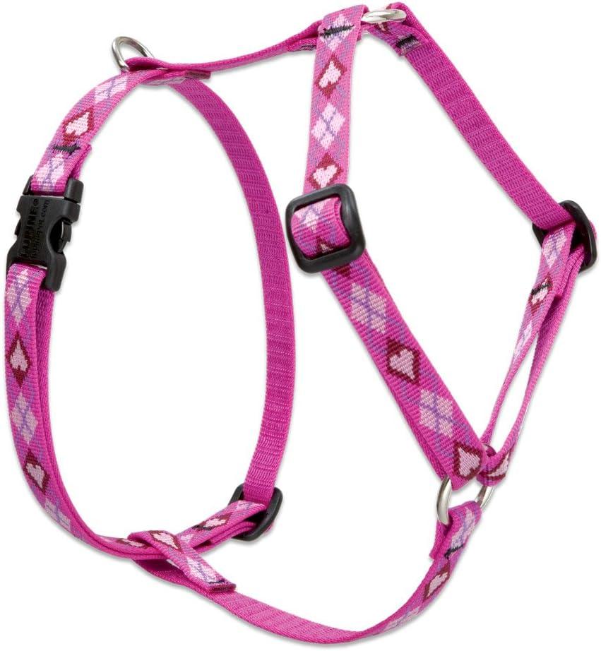 LupinePet Originals 1/2" Puppy Love 12-20" Adjustable Roman Dog Harness for Small Dogs