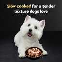 Cesar Filets in Gravy, Adult Wet Dog Food, Rotisserie Chicken Flavor, Wet Food for Dogs, 3.5 oz Trays, 24 Count