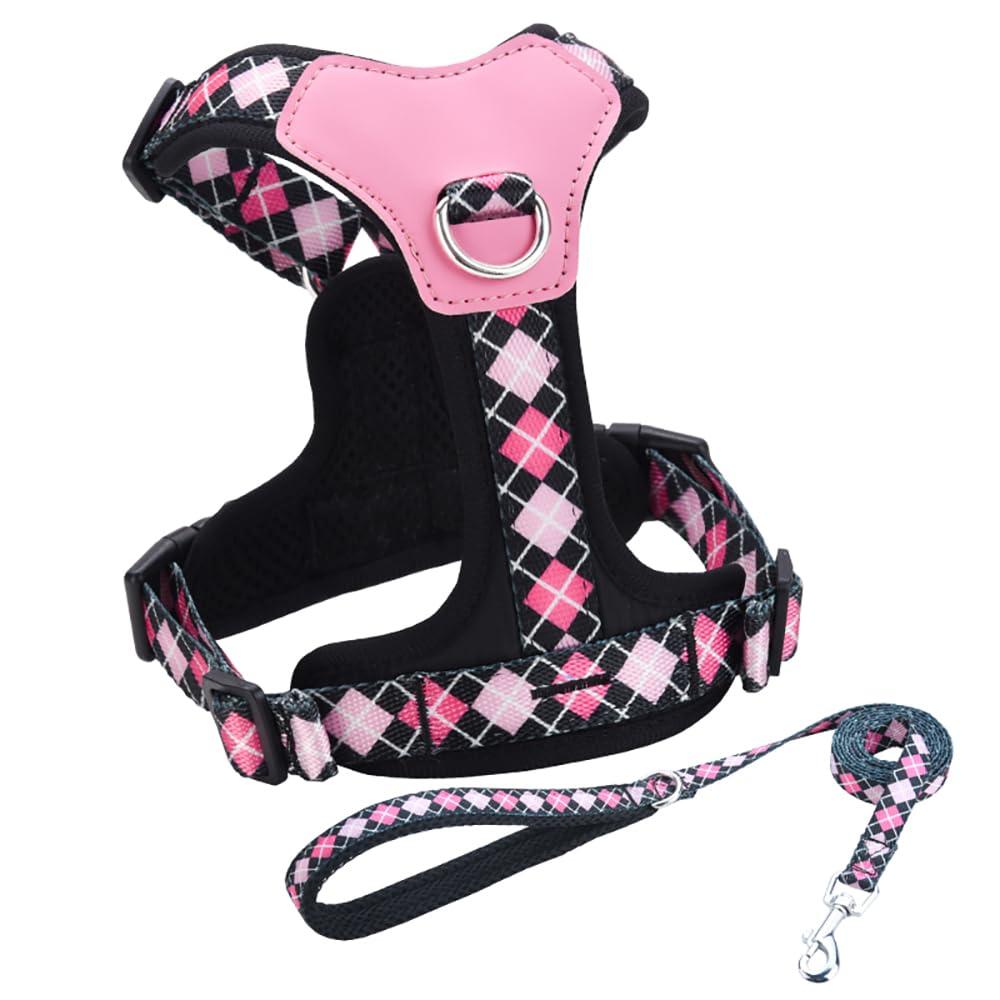 Flymind XS Dog Harness and Leash Set, No Pull Dog Harness with 2 Leash Clips, Anti-Escape Easy Walk Puppy Harness, Adjustable Dog Vest Harness for Training Walking for Small Dogs(Black, XS)