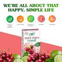 True Citrus Black Cherry Limeade Drink Mix, 1.06 OZ (EXP 02/23/29)