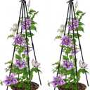 Trellis for Climbing Plants Outdoor, 2 Pack Plant Trellis Support for Climbing Vine, 63" Plant Support Tower Cages Plastic Coated Metal Pipe Supports for Outdoor Indoor, Potted Plants, Tomato cage