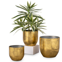 Briful Set of 3 Shabby Gold Galvanized Buckets Multi-Size Rustic Chic Metal Planters for Home Centerpieces Table Decor, Farmhouse Garden Round Metal Pots for Flowers Plant Herb(4 Â¾''/5 Â½''/6 Â¾'')