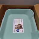 KittyGoHere Senior Cat Litter Box 1 Pack, Large Green Low Entrance Kitty Litter Box, Sized for Cats Comfort, Perfect for Senior and Arthritic Cats, Made in USA
