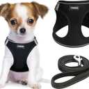 YIMEIS Dog Harness and Leash Set, No Pull Soft Mesh Pet Harness, Reflective Adjustable Puppy Vest for Small Dogs, Cats (S, Black) (Small (Pack of 1))