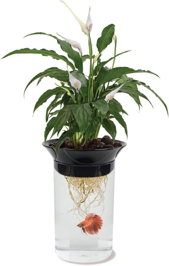 Penn-Plax (APON1) Aquaponic Planter and Aquarium for Betta Fish Tank Promotes Healthy Hydroponic Environment for Plants and Fish