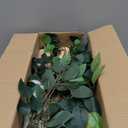 Cat Wall Hammock, Cat Climbing Shelves with 2 Steps, Wall Mounted Furniture Bed and Perches for Climbing, Sleeping, Playing, for Indoor Large Cats or Kitty