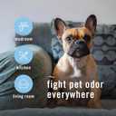 Febreze Air Mist Air Freshener Spray, Odor-Fighting Room Spray, Air Fresheners for Home and Bathroom and Kitchen, Aerosol Can, HD Pet Odor Fighter Scent, 8.8oz, 3 Count