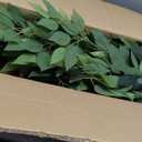 Tall Artificial ficus Tree Large Faux Trees Indoor Outdoor Realistic Floor Fake plantas for Home Living Room Master Bedroom Office Porch Outside Patio arboles artificiales para decoracion Fall Decor