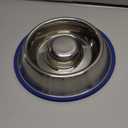 Mr. Peanut's Stainless Steel Interactive Slow Feed Dog Bowl with a Blue Base, Fun Healthy Bloat Stop Feeder (Small)