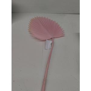 Spring Summer Declaration, 1 Pack