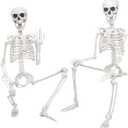 2Pack Skeleton Halloween Decor,3Ft Life Size Skeleton Full Body Plastic Human Bones for Halloween Decoration (2, Grey) (Gray)