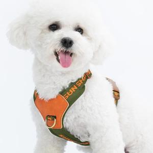 Green Dog Harness for Small Dogs, Nylon No Pull Vest with 2 Leash Clips for Walking Running Playing, Puppy Vest Small Sized Dog, Adjustable Soft Padded Light Dog Vest Harness (Green, XS)