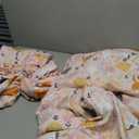 Full Size Sheet Set for Kids, 4-Piece Bed Sheet Set for Teens Boys Girls, Cartoon Printed Bedding Set, Microfiber Deep Pocket, Wrinkle & Fade Resistant, Cute Cats