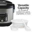 Hamilton Beach Digital Programmable Rice Cooker & Food Steamer, 14 Cups Cooked (7 Uncooked) With Steam & Rinse Basket, Stainless Steel (37548)