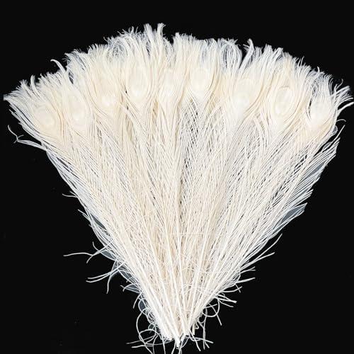 20PCS Long Peacock Feathers Off White 16-18 Inch Feather for Crafts Tall Vases Home Decor Wedding Centerpieces Decorations Christmas Tree Ornament Flower Arrangement
