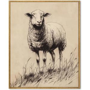 Vintage Sheep Wall Art Antique Animal Prints Country French Picture Animal Sketch Wall Art Cute Sheep Retro Posters Farm Animals Pictures Vintage Rustic Painting Classical Lamb Artwork 8x10inch Framed