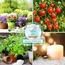 5LB Water Storing Crystals for Plants with Spoon, Water Gel Solves Plant Over-Watering and Drought Problems, Keeps The Soil Moist, Small Water Storing Polymer Crystals for Plants Candle - by Oycevila