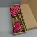 Floroom Ranunculus Artificial Flowers 18 Pcs Fuchsia Faux Silk Mini Ranunculus Bulk Fake Wedding Filler Flowers for DIY Hot Pink Bouquets, Centerpieces, Bridal Shower Decorations & Arrangements