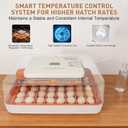 Nest IV - 56 Egg Incubator for Breeders, Fully Automated, Accurate Humidity & Temp Control, Chick Separator, Flexible Egg Spacing, Custom Incubation Days, Auto Turning & Auto Stop, Easy Monitoring